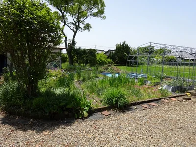 garden