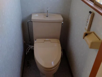 toilet toilet