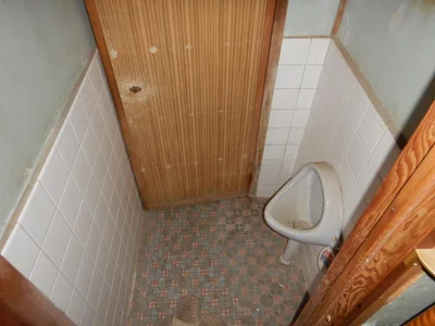 toilet