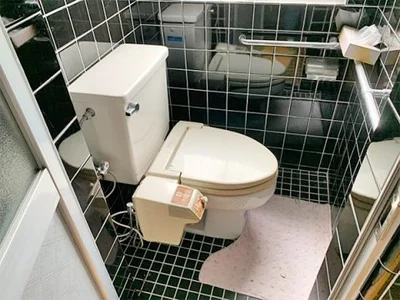 toilet