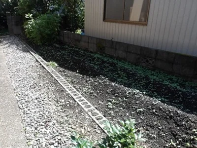 garden
