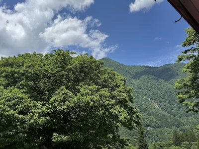 view