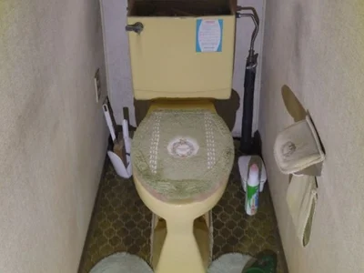 toilet toilet