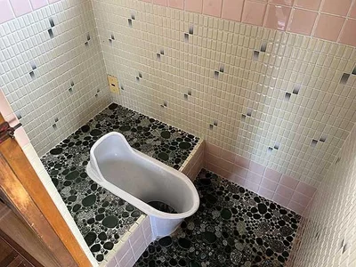 toilet