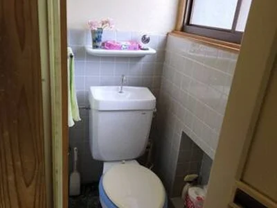 toilet toilet