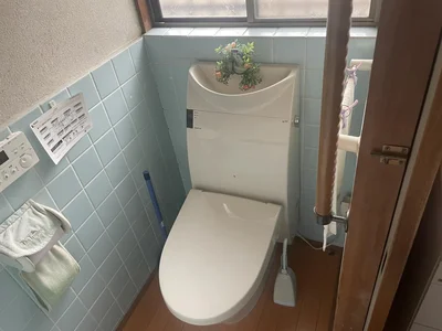 toilet toilet