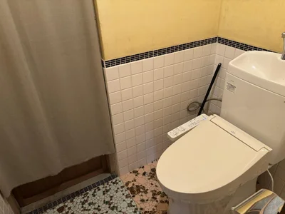 toilet toilet