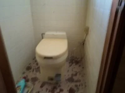 toilet