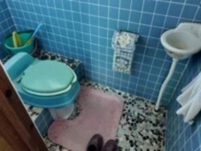 toilet