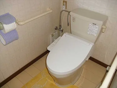 toilet toilet