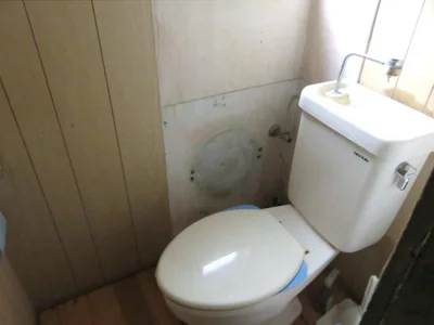 toilet