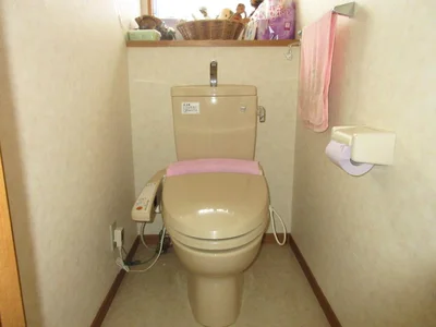toilet