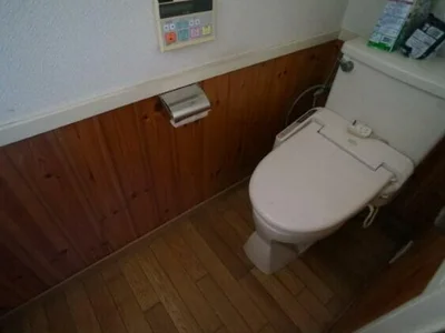 toilet