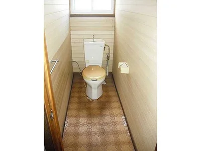 toilet