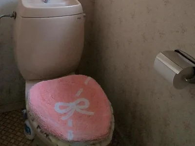 toilet