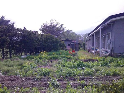 garden