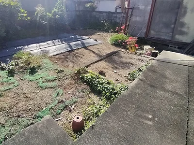 garden