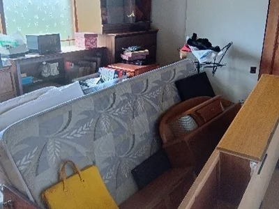 japanese-style room(s)