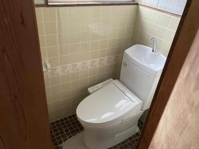 toilet toilet