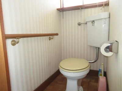 toilet toilet