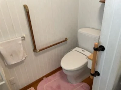toilet