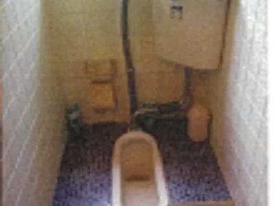 toilet