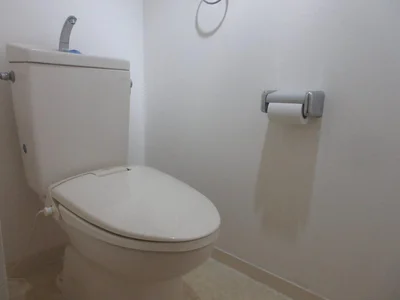 toilet toilet