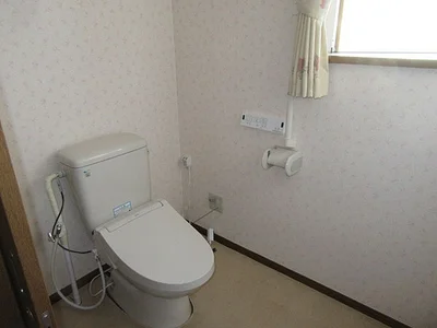 toilet