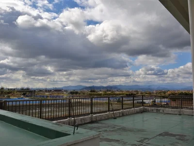 view
