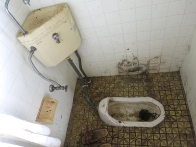 toilet