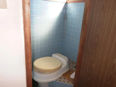 toilet